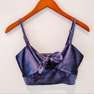 Free People Blue Velvet Crop Top